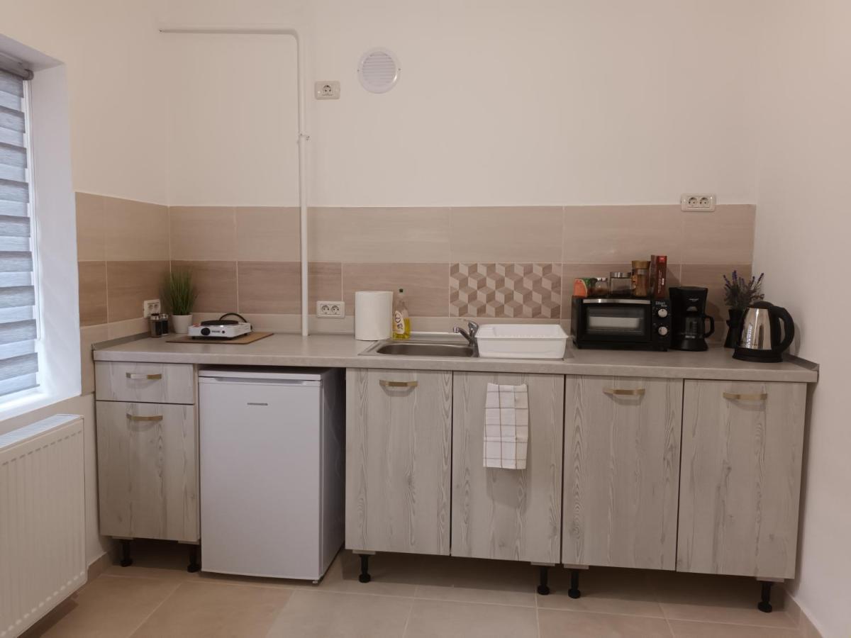 3 Josepartment Lägenhet Timişoara Exteriör bild