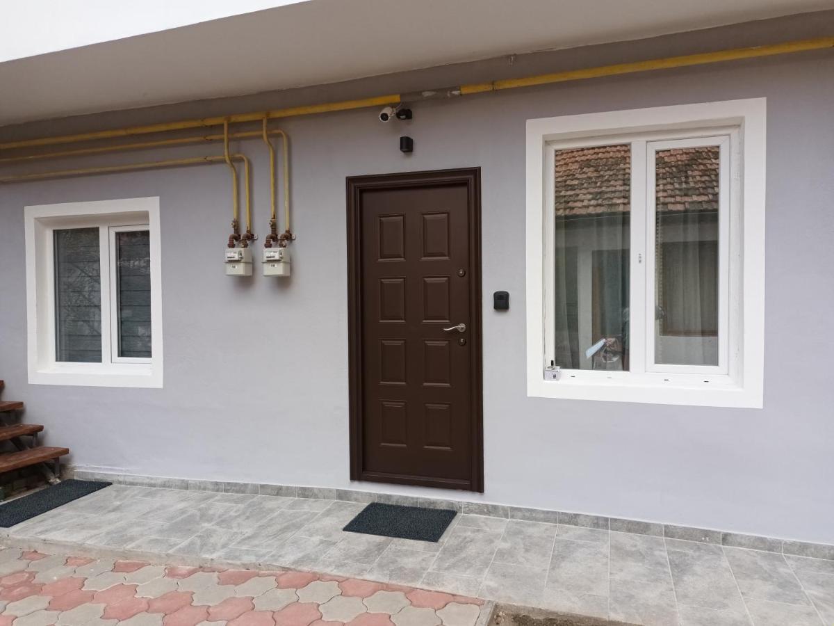 3 Josepartment Lägenhet Timişoara Exteriör bild